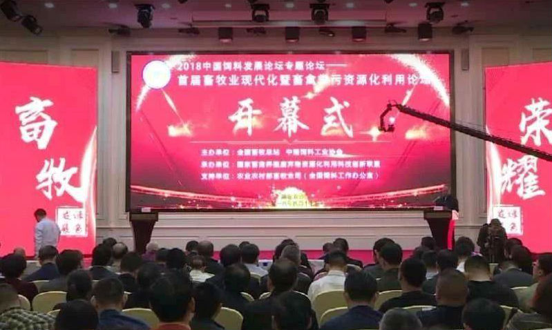 ce36f3a5-3a99-4895-b80e-e0566ffb739e.jpg